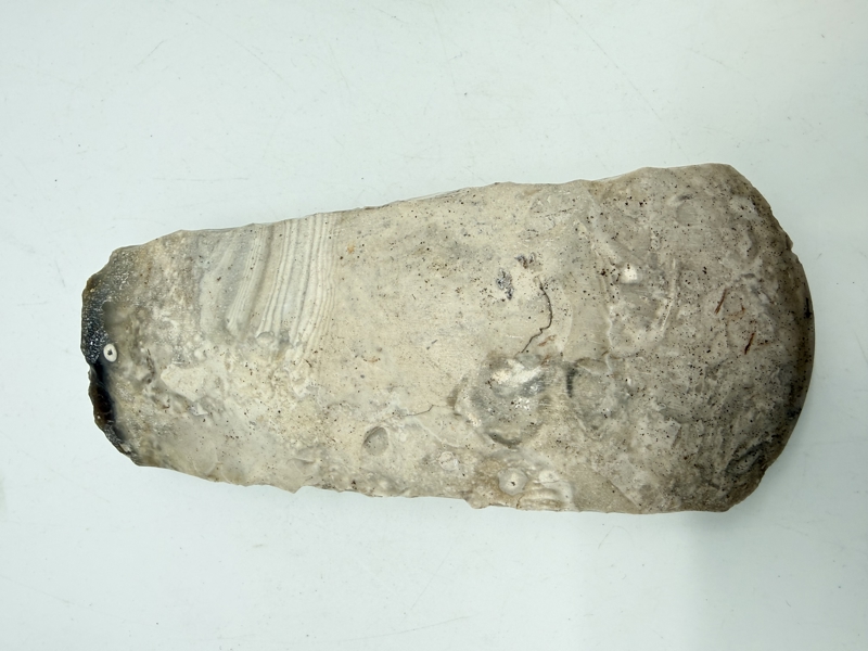 Stenøkse Danmarks oldtid, original 