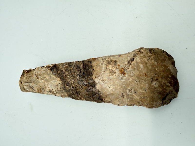 Stenøkse Danmarks oldtid, original 