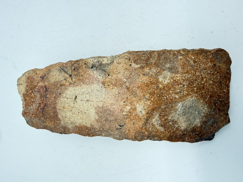 Stenøkse Danmarks oldtid, original 