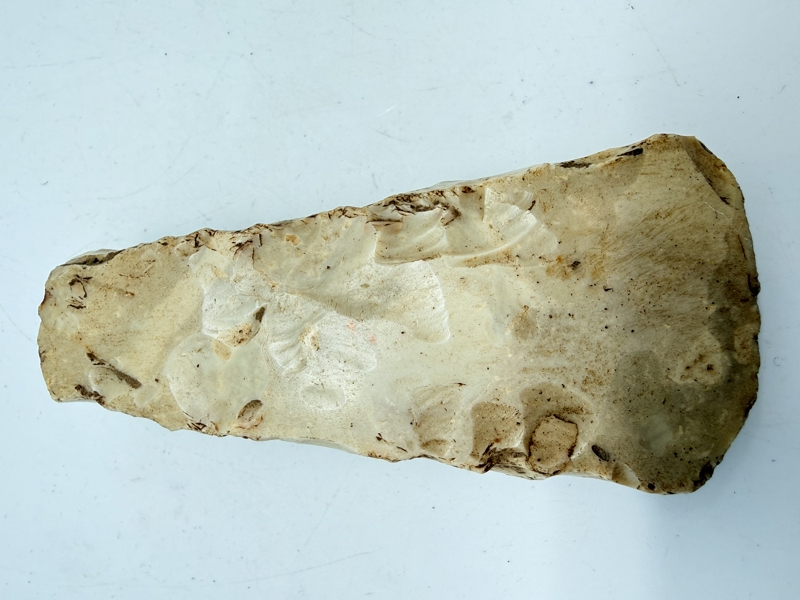 Stenøkse Danmarks oldtid, original 