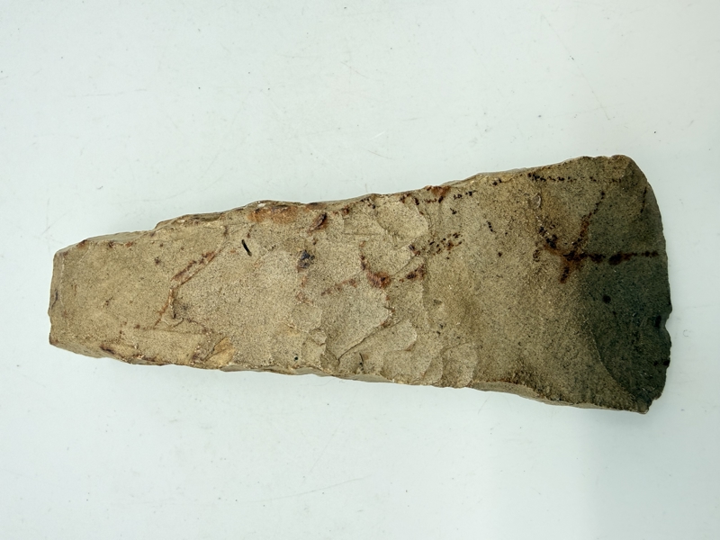 Stenøkse Danmarks oldtid, original 