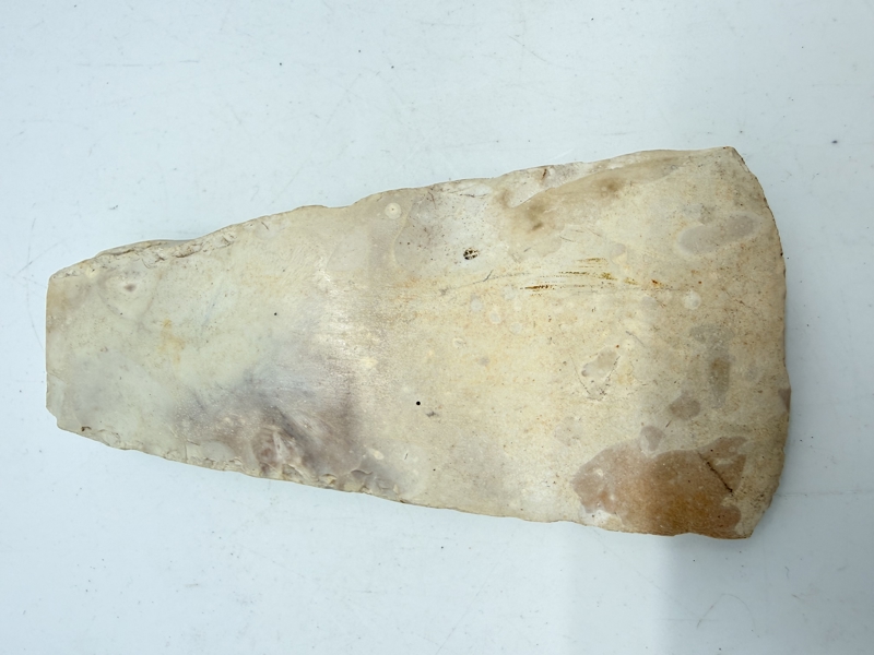 Stenøkse Danmarks oldtid, original 