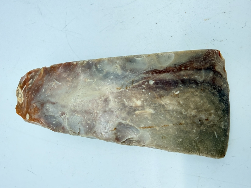 Stenøkse Danmarks oldtid, original 