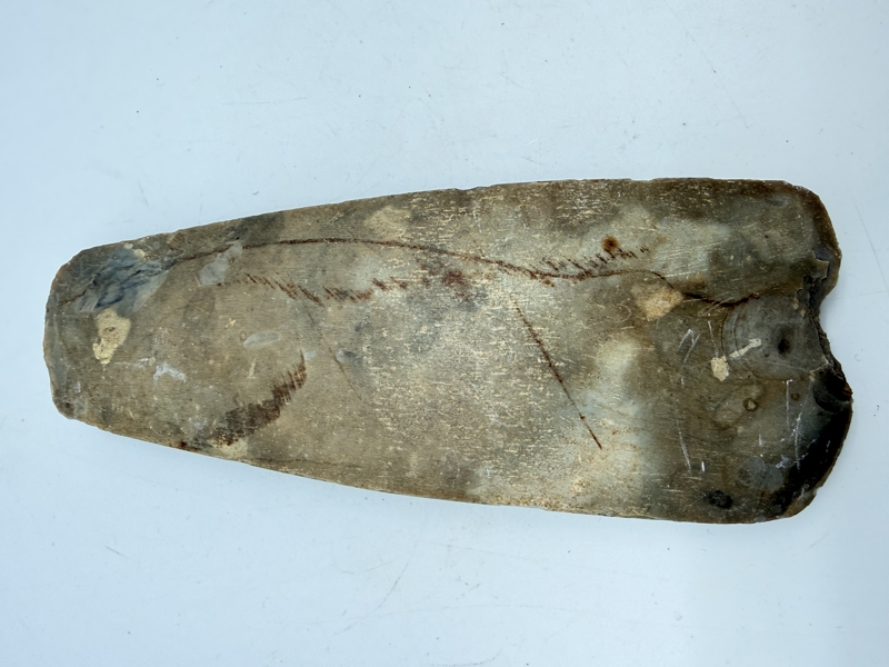 Stenøkse Danmarks oldtid, original 