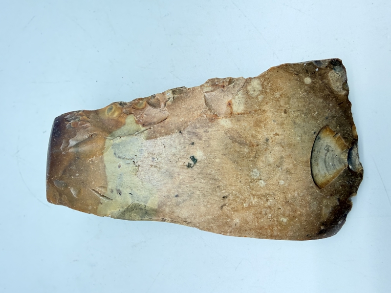 Stenøkse Danmarks oldtid, original 