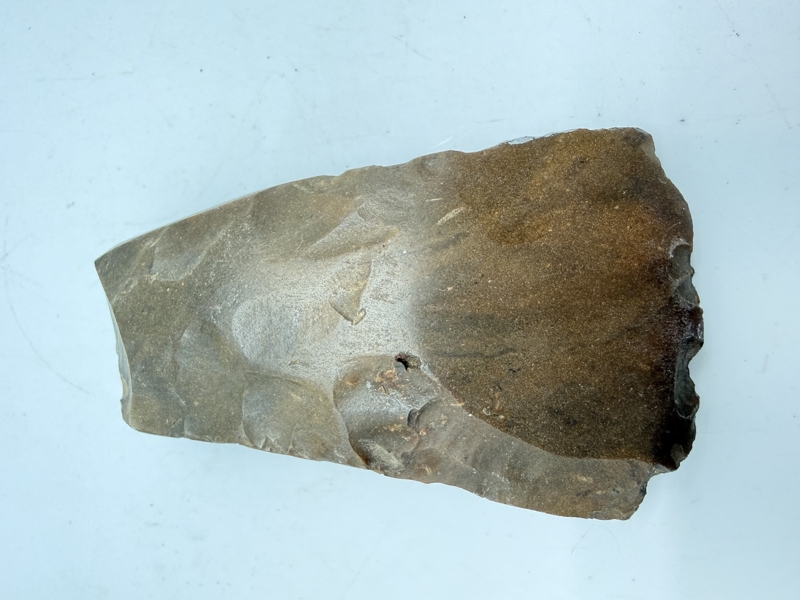 Stenøkse Danmarks oldtid, original 