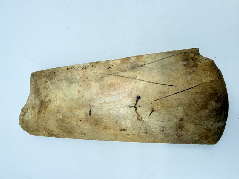 Stenøkse Danmarks oldtid, original 