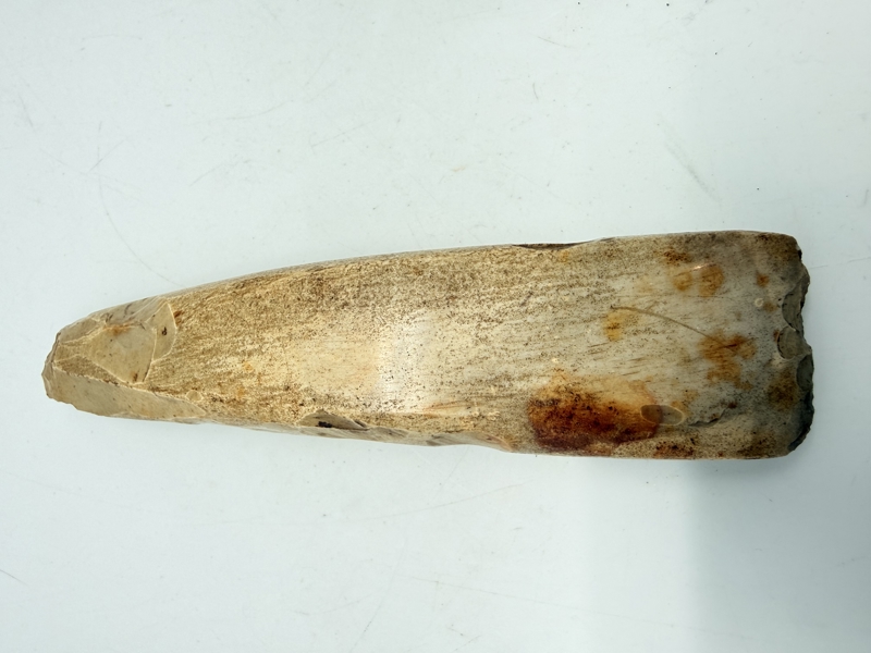 Stenøkse Danmarks oldtid, original 