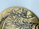 Stor Fransk / Amerikansk WW1 medalje bronze, original 