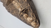 afrikansk træmaske, der minder om stilistiske træk fundet i Dan- eller Senufo-kulturerne