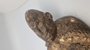 afrikansk træmaske, der minder om stilistiske træk fundet i Dan- eller Senufo-kulturerne