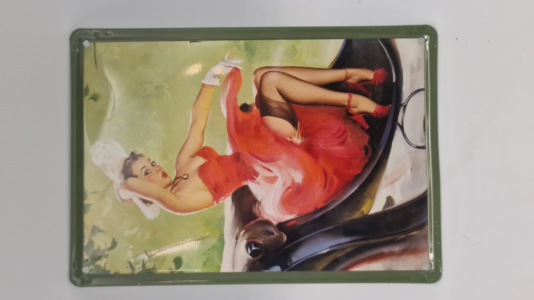 Pin up metal skilt 