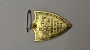 Original tysk pin fra 1933