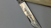 Svane kniv lommekniv