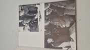 Bog om Hitlers hovedkvarter på tysk