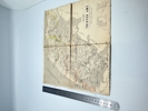 Thisted amt 1871 