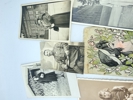 Lot Fra Dask Italiensk familie 