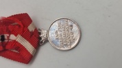 Miniture medalje Allieret krigs tjeneste, sjælden original 