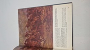ww1 litteratur 