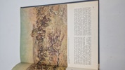 ww1 litteratur 