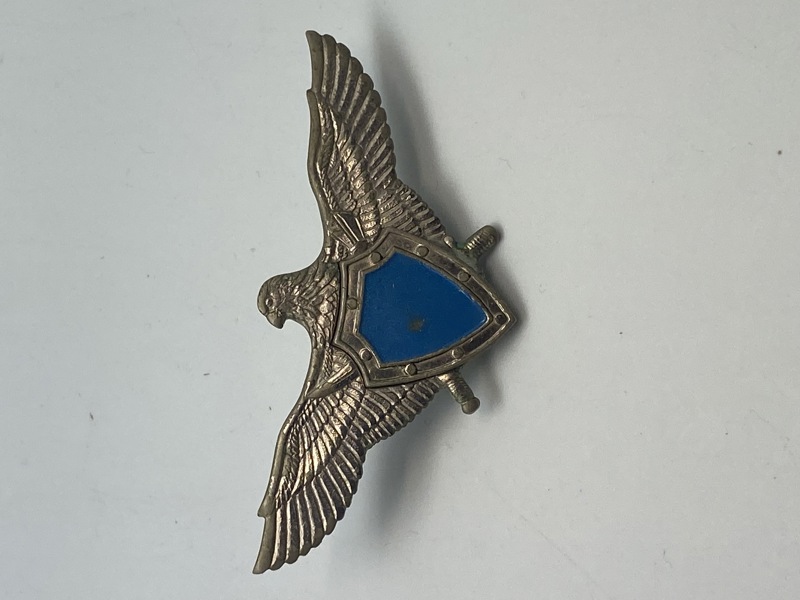 Original ukrainsk Airforce badge 